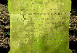 BLANCHFLOWER Mary 1886 and her husband George 1899